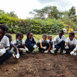 Screenshot 2025-11-28 114527.png