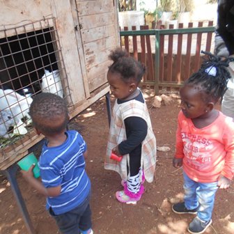 Children looking at rabbits